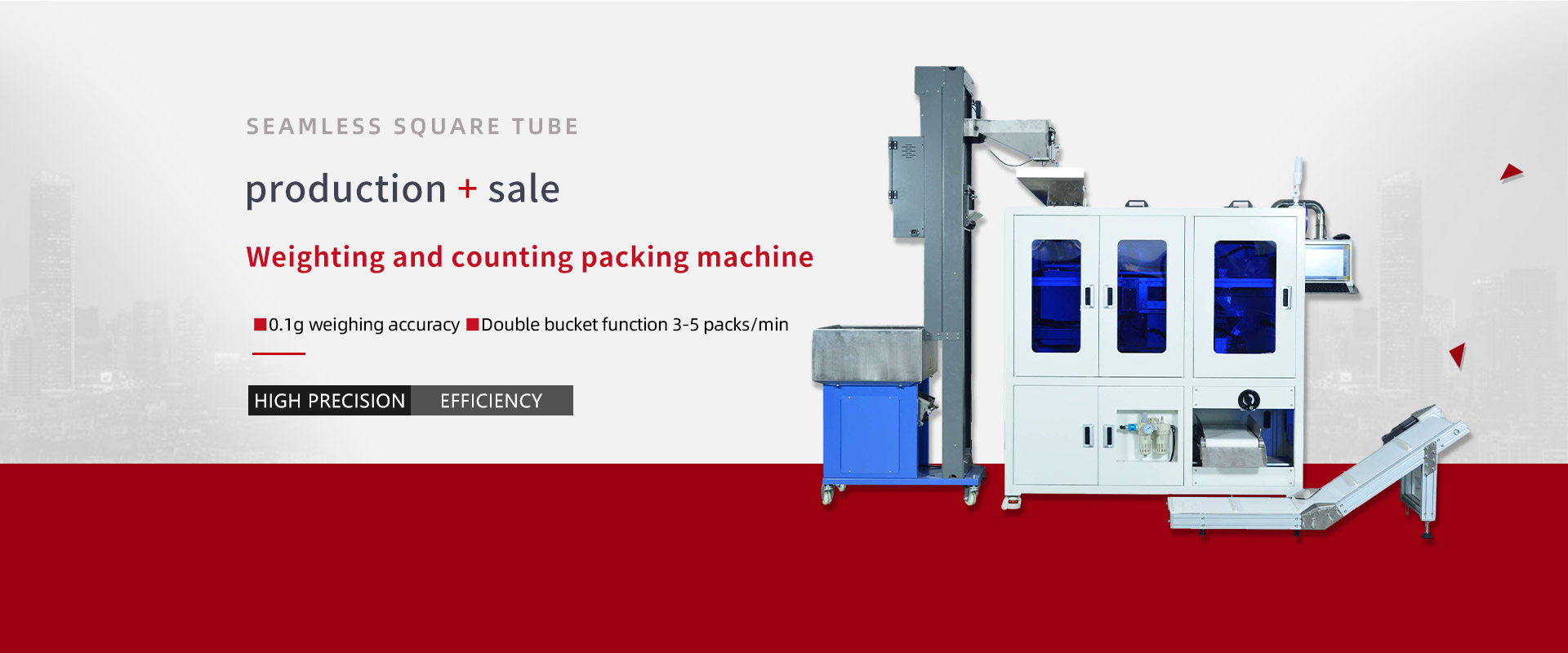 Weighting and counting packing machine
